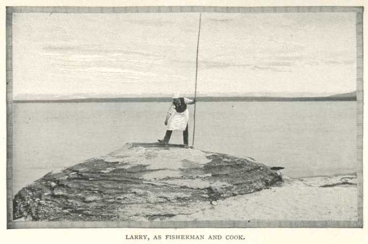 Fishing Cone - 'Stoddards Lectures - Volume X'
