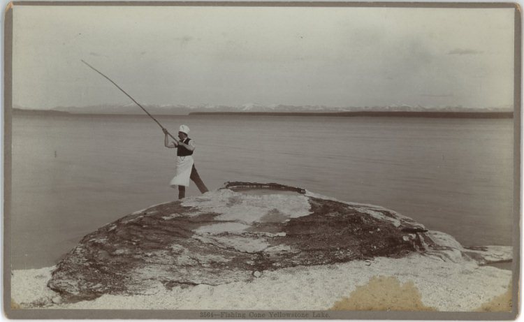 Fishing Cone - 3564