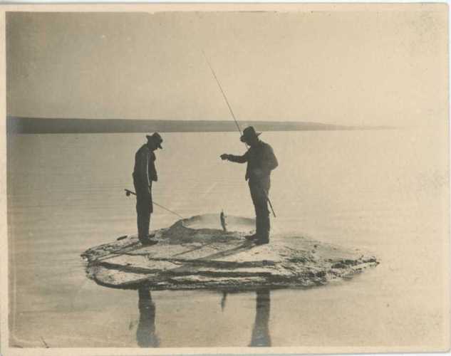 Fishing Cone - 4157