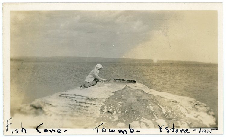 Fish Cone - FCTY1915