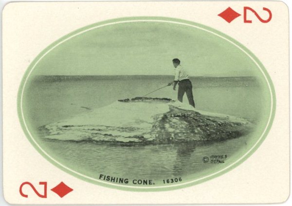 Fishing Cone - 16306
