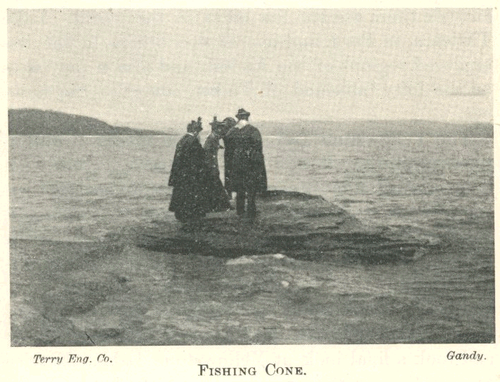 Fishing Cone Books