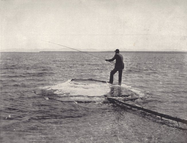 Fishing Cone - 'Glimpses of America'