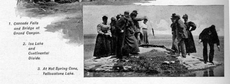 Fishing Cone Books WANTED!
