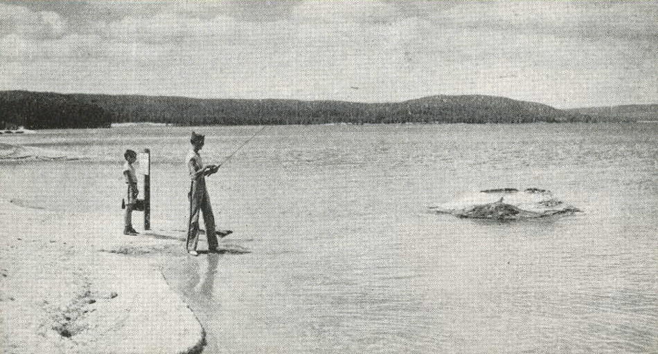 Fishing Cone Brochures