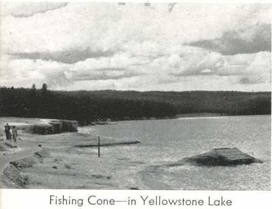 Fishing Cone - 'Summer Tours'
