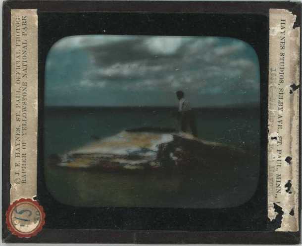 Fishing Cone - 16306