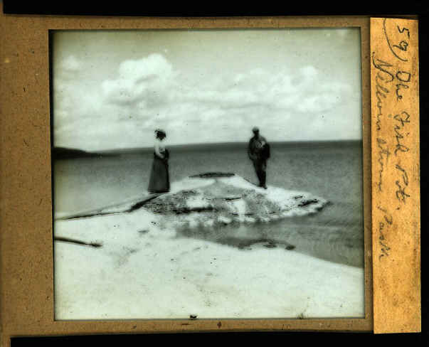 Fish Pot - 59