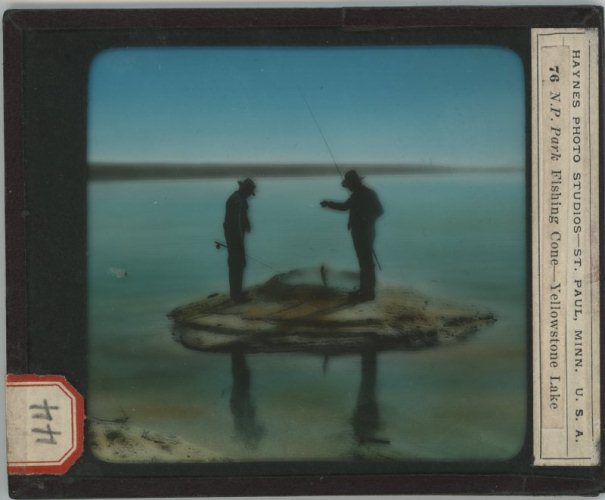 Fishing Cone - 76 (Haynes)