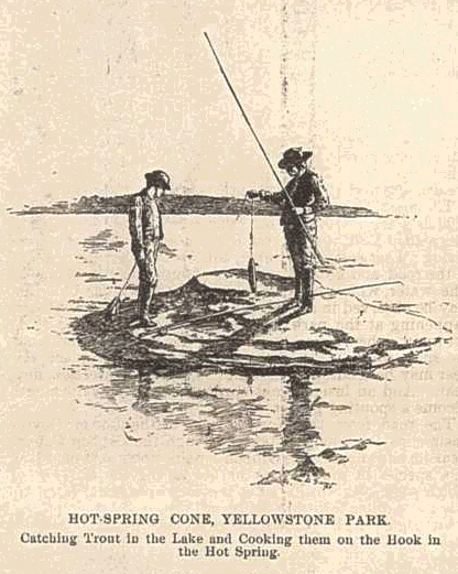 Fishing Cone Magazines