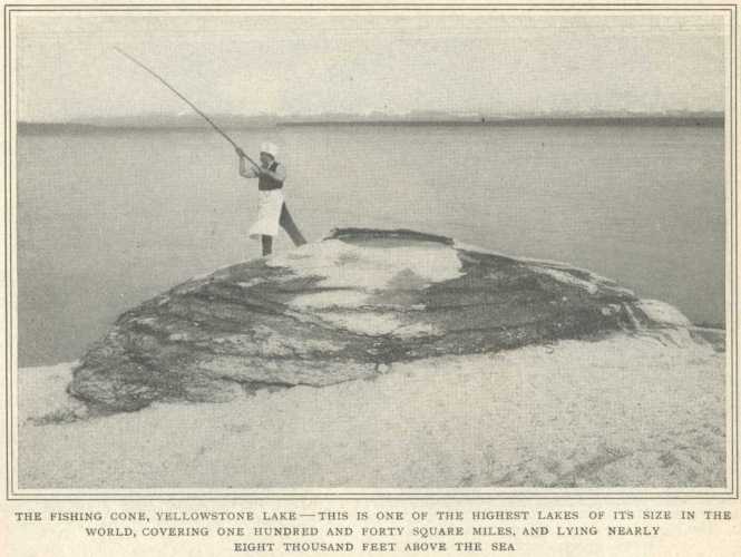Fishing Cone - TFCYL