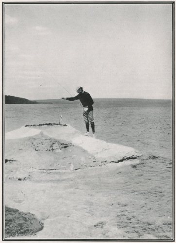 Fishing Cone - NAALS