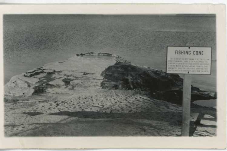Fishing Cone - 01478