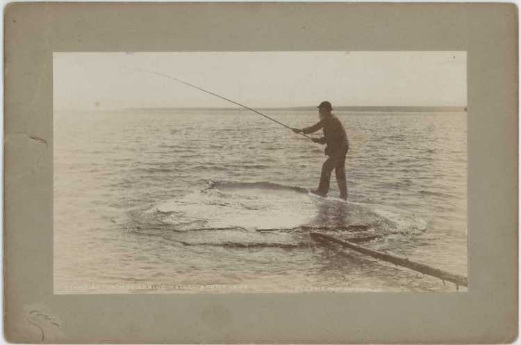 Fishing Cone - 11