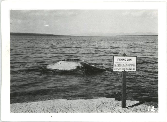 Fishing Cone - 12
