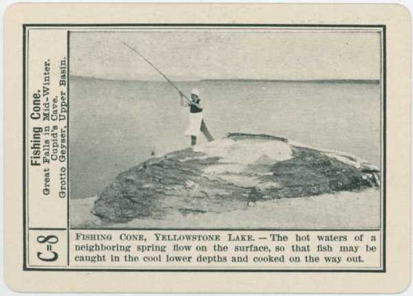 Fishing Cone - C8