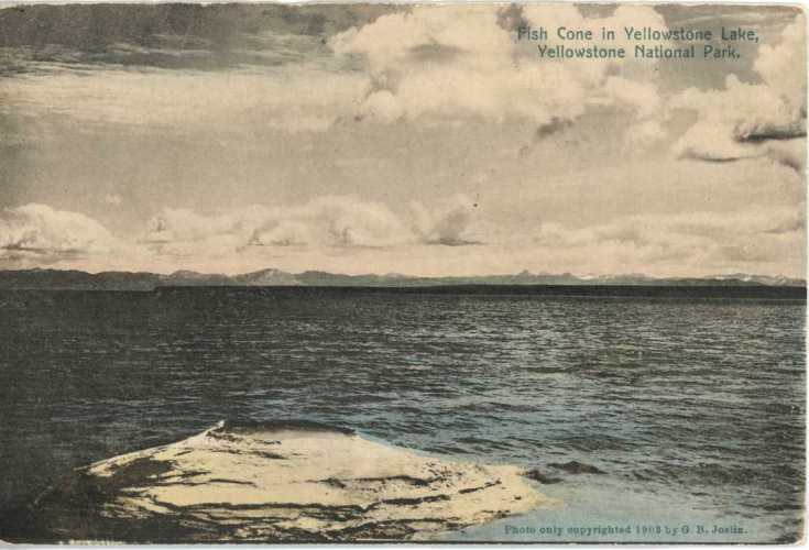 Fish Cone - 24258