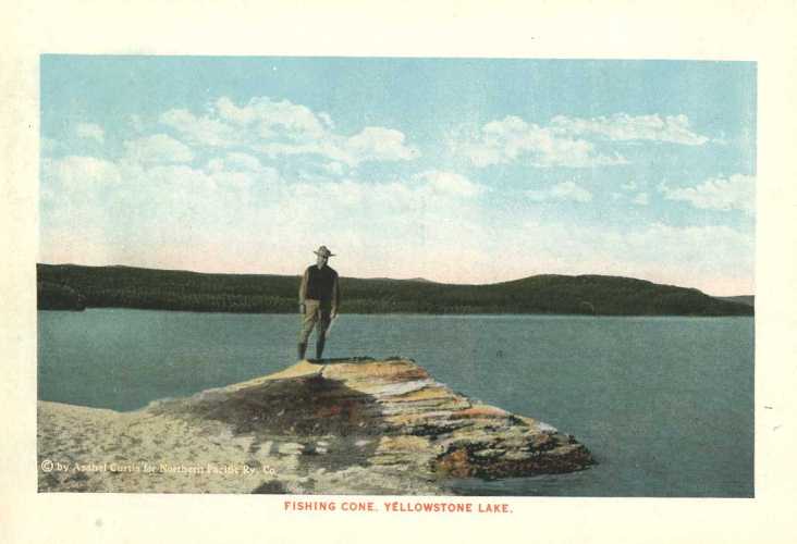 Fishing Cone - FCYL