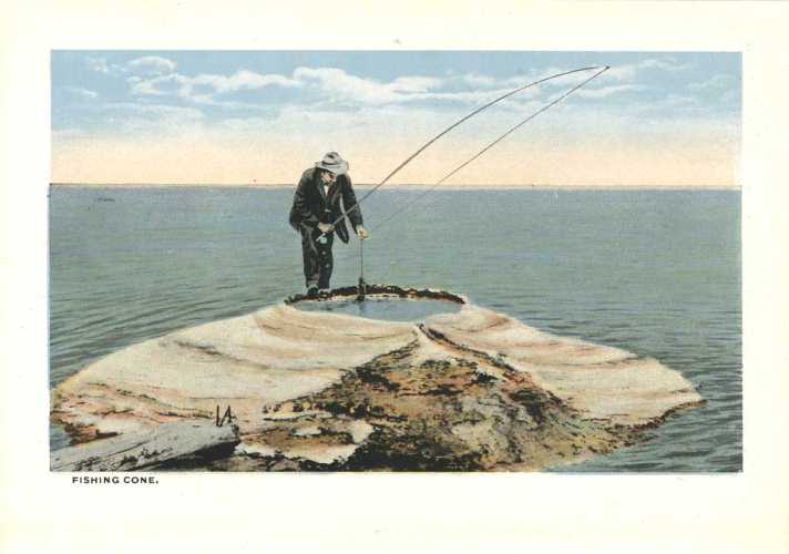 Fishing Cone - FC