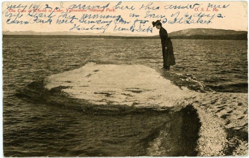Fishing Cone - TCATOL