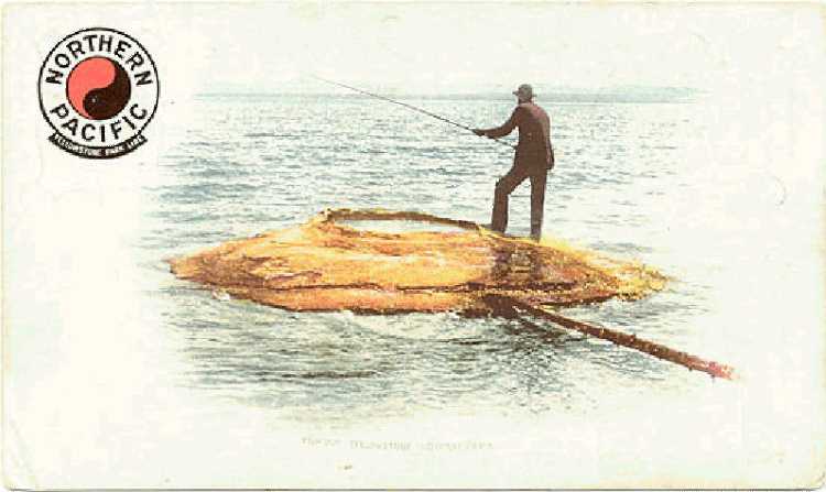 Fishing Cone Postcards WANTED!